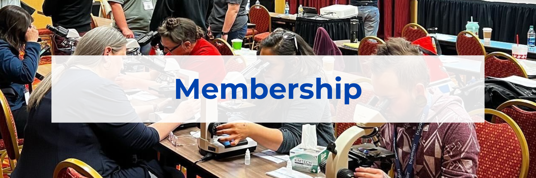 membership header