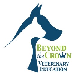 Beyond the Crown Logo